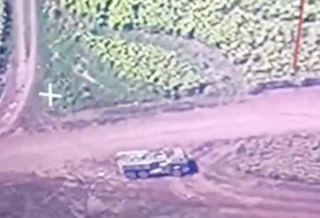 影响分析（或影响深度解析）