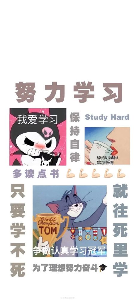 今天不学习，明天变垃圾壁纸——警醒与自我提升的力量，警醒之力，懒惰不得，今日不学习明日或将沦为平庸壁纸