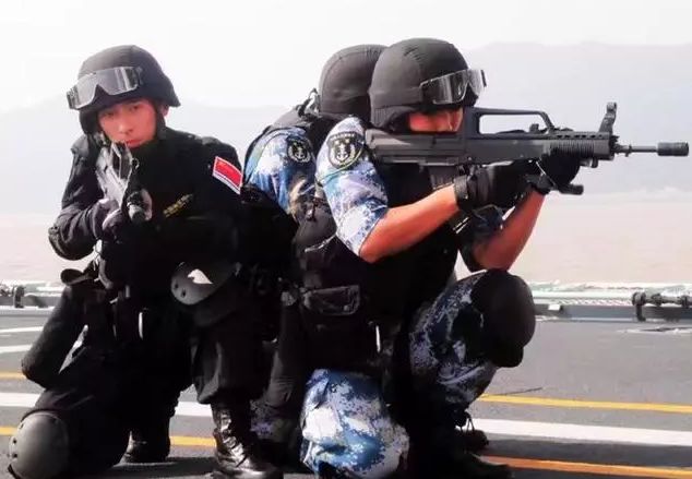 中国特种部队蛟龙突击队，精锐之师的荣耀与使命，中国特种部队蛟龙突击队，荣耀与使命的精锐之旅