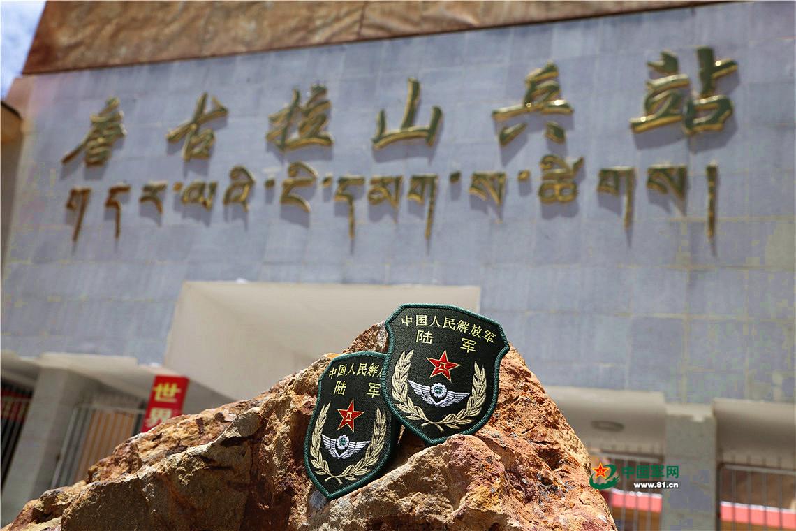 中国陆军臂章图片,历史、象征与荣耀,中国陆军臂章,历史、象征与荣耀的印记