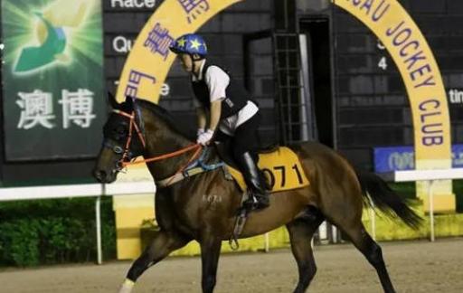 全面解析与深度探讨