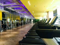 最近的瑜伽馆有哪几家店，城市中的健康绿洲，城市瑜伽馆探秘，寻找最近的健康绿洲