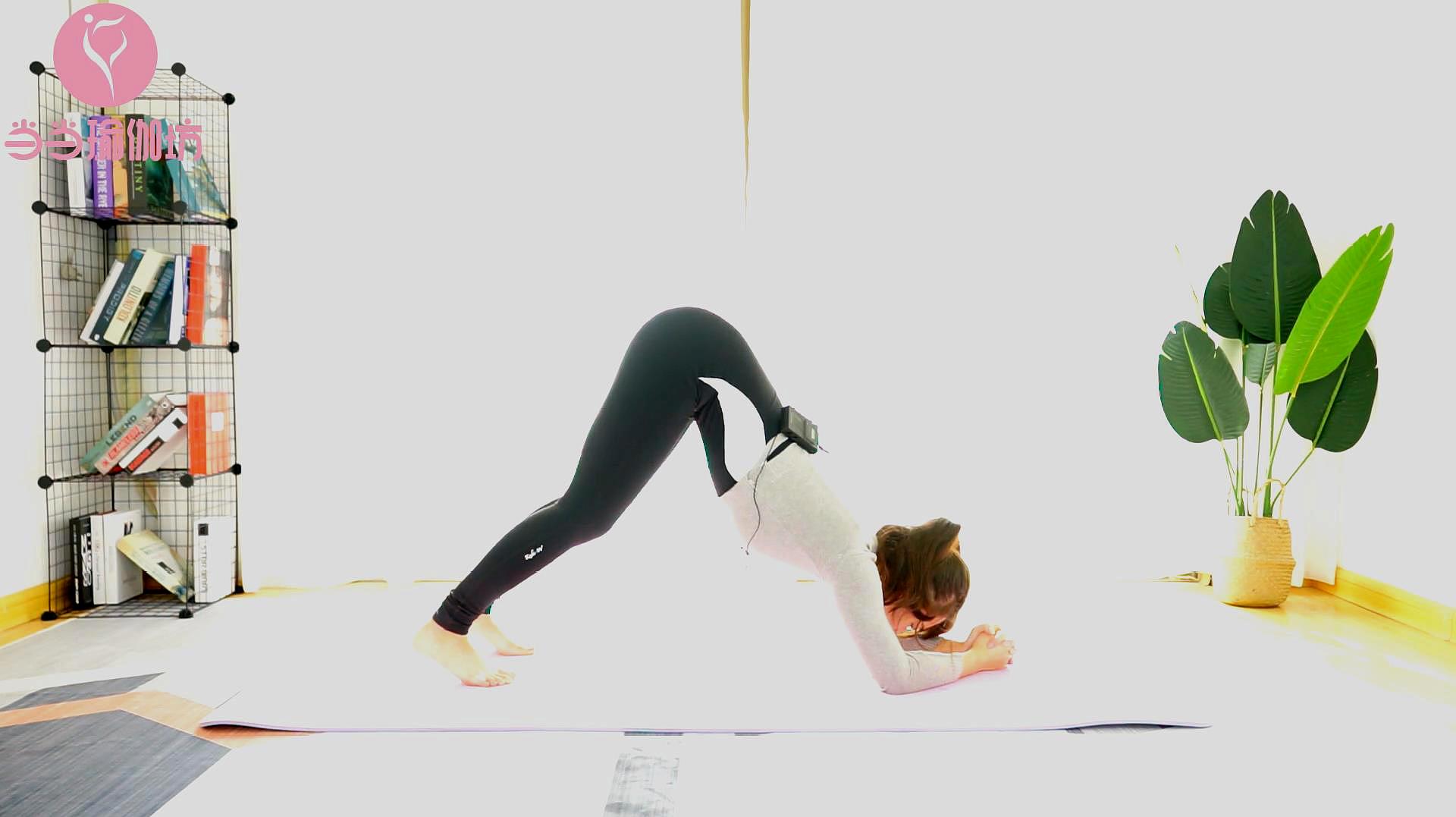 七天瘦身瑜伽视频,重塑身姿的绝佳选择,七天瘦身瑜伽视频,重塑身姿的终极指南