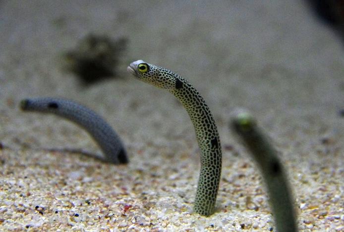 花园生物股吧,生态繁荣与投资的绿色舞台,花园生物股吧,生态繁荣与投资的绿色舞台