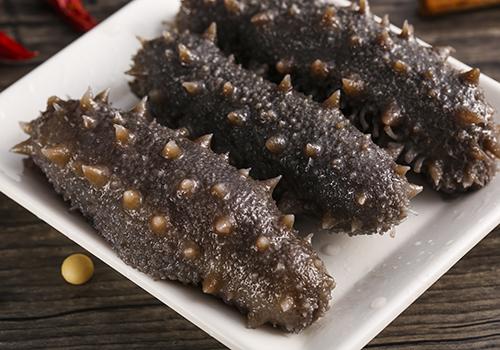 海参,海洋的瑰宝,健康的秘密武器,海参,海洋之宝,健康守护神