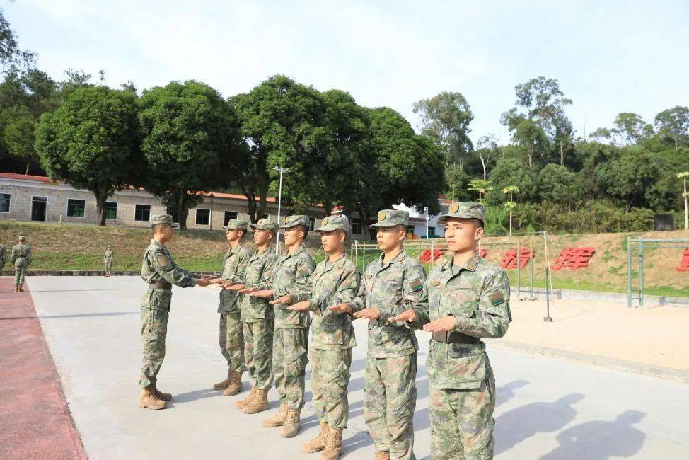 定向培养军士,塑造新时代军事人才的新路径,定向培养军士,塑造新时代军事人才的新途径