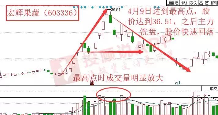 宏辉果蔬股吧,探索603336背后的故事,宏辉果蔬股吧深度解析,揭秘背后的故事与机遇(股票代码,603336)