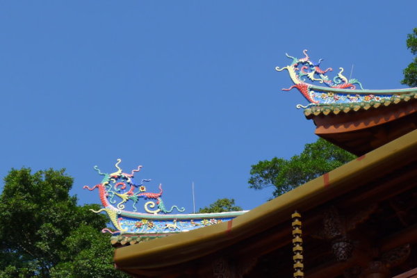 鼓浪屿半日游最佳攻略,鼓浪屿半日游精华攻略