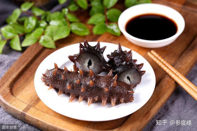 九类人群不适合吃海参,九类人群慎食海参