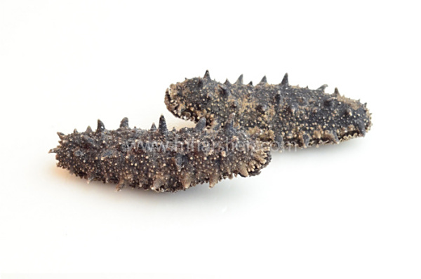 九类人群不适合吃海参,九类人群慎食海参