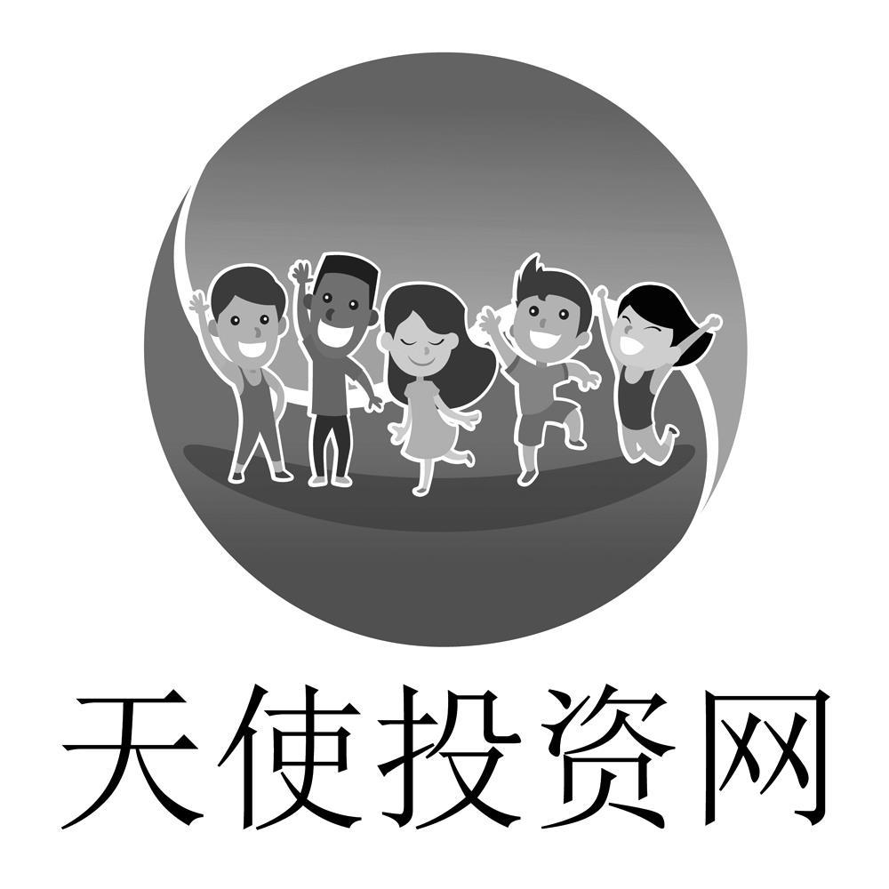 探索天使投资平台官网,连接资本与创新的桥梁,探索天使投资平台官网,连接资本与创新的桥梁,助力创新项目腾飞