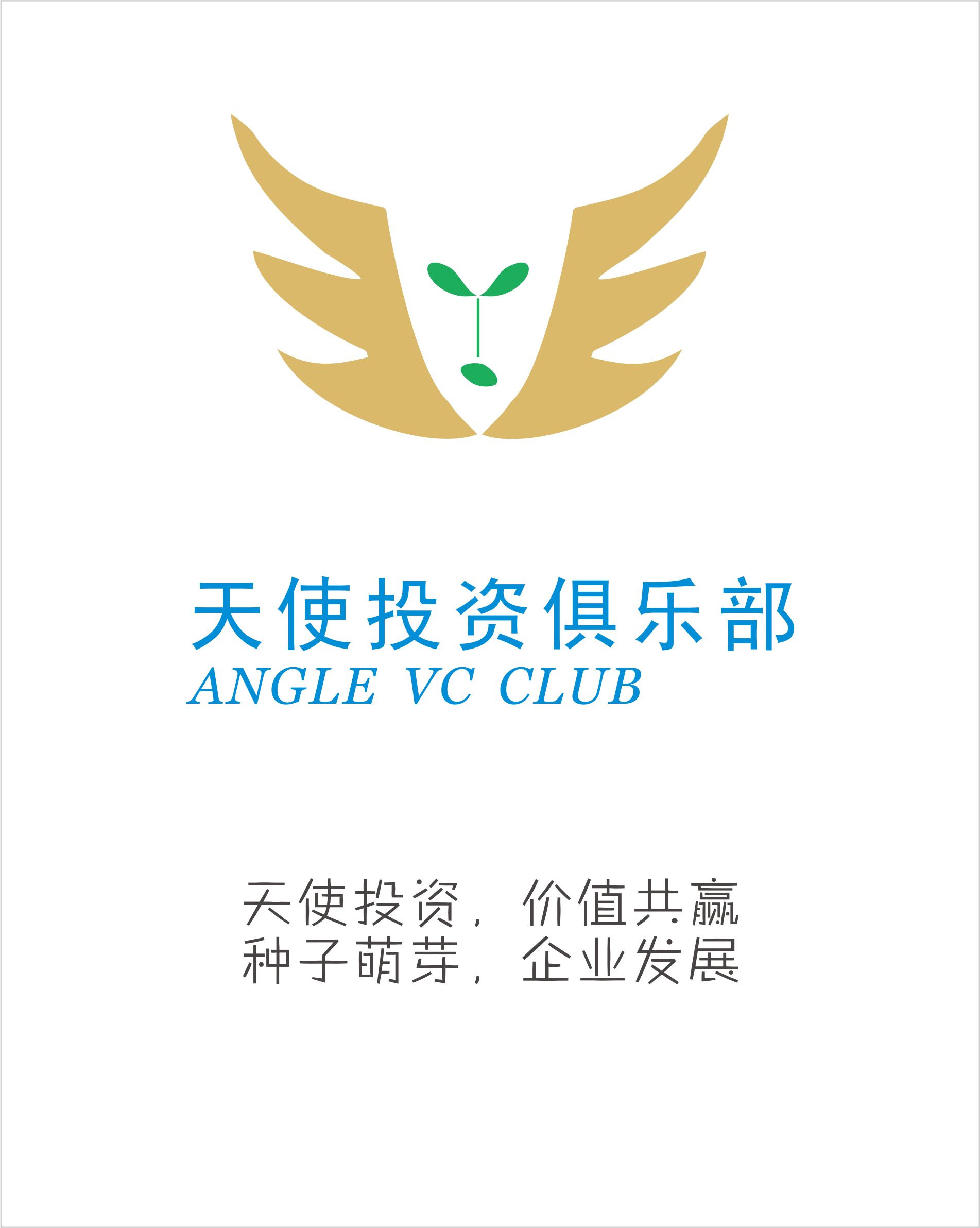 探索天使投资平台官网,连接资本与创新的桥梁,探索天使投资平台官网,连接资本与创新的桥梁,助力创新项目腾飞