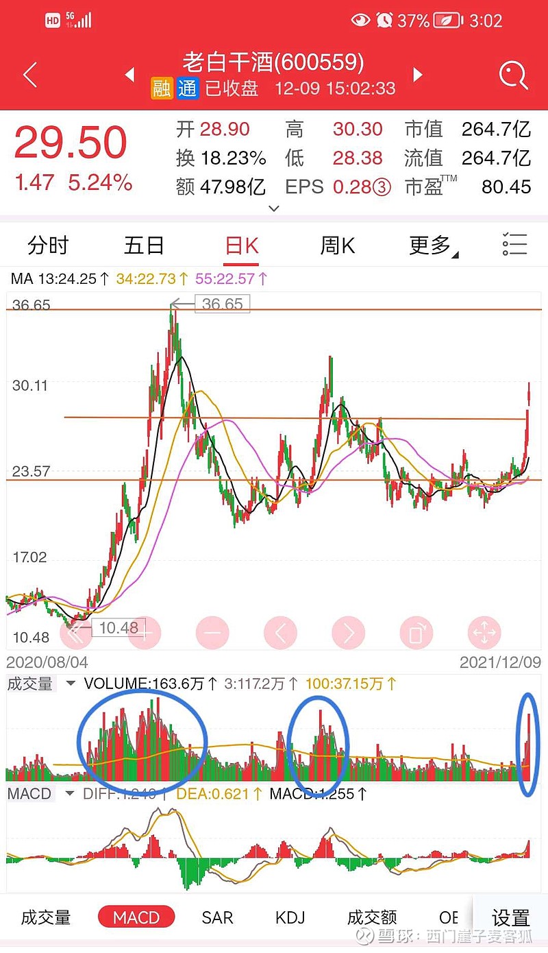 老白干股票,未来走势分析与投资考量,老白干股票未来走势分析及投资考量