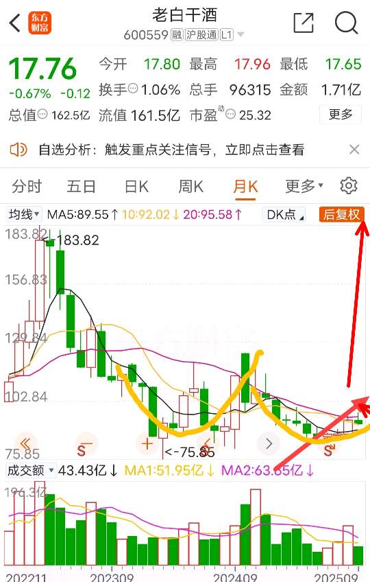 老白干股票,未来走势分析与投资考量,老白干股票未来走势分析及投资考量