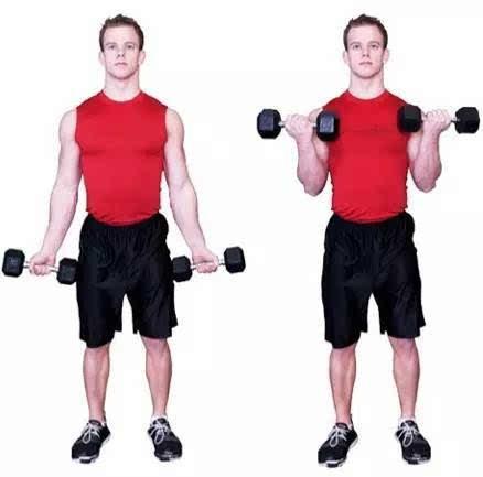 60岁哑铃训练动作大全,塑造健康与活力的黄金指南,60岁哑铃训练全攻略,塑造健康与活力的黄金动作指南