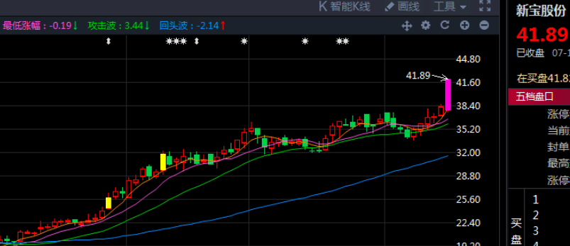 新宝股份股票股吧,深度解析与前景展望,新宝股份股票深度解析及前景展望——股吧热议话题
