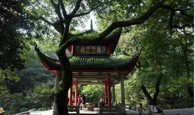 长沙最值得去的旅游景点,长沙必游景点攻略,探寻最值得一去的旅游景点