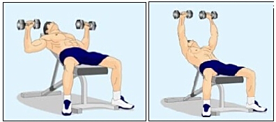 如何锻炼胸肌下沿,打造完美胸肌形态,锻炼胸肌下沿,塑造完美胸肌形态攻略