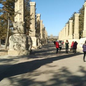 云冈石窟门票价格详解,多少钱一张?,云冈石窟门票价格解析,费用究竟是多少?