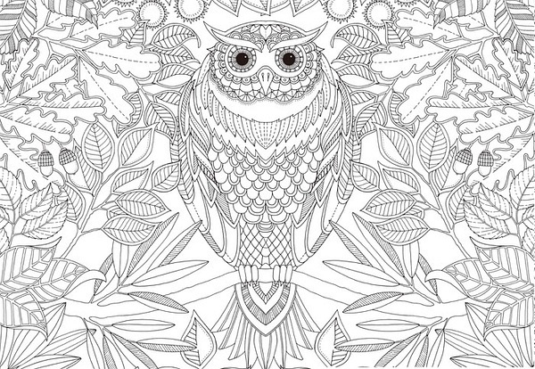 紧致的秘密花园,绽放的生命之美,秘密花园的紧致魅力,生命的绽放之美