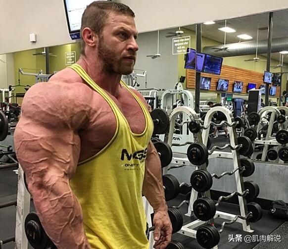 上肢训练,探索最佳动作组合,打造完美上肢线条,探索最佳上肢训练动作组合,塑造完美上肢线条