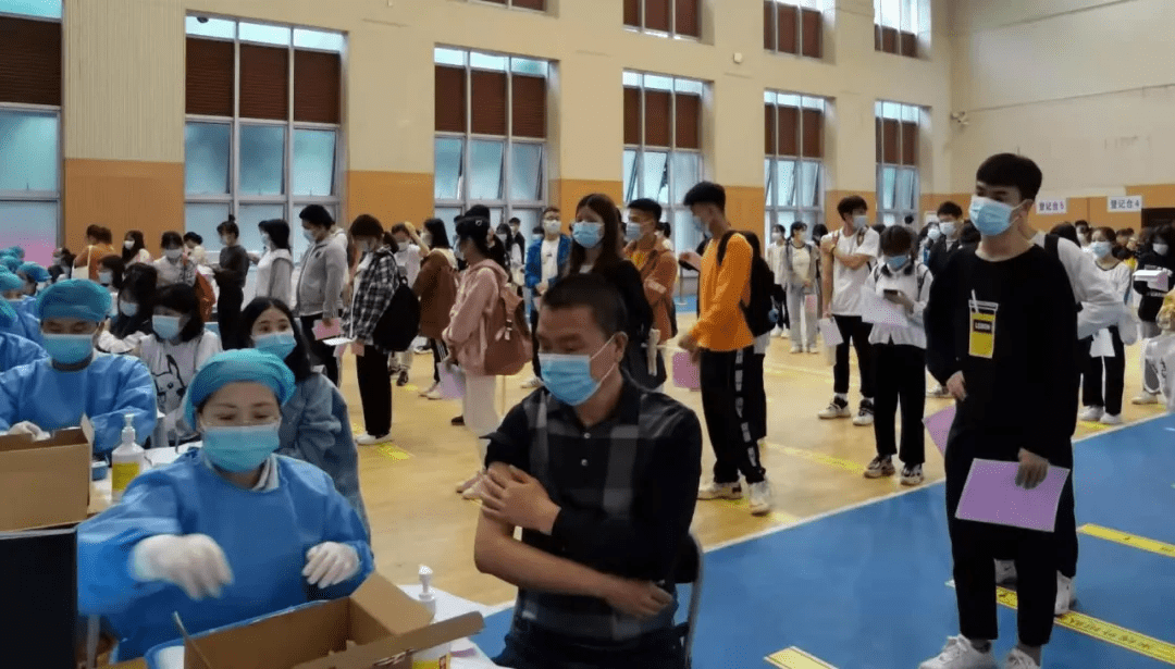 关于000973的最新消息全面解析,000973最新消息全面解析