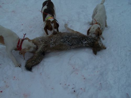 血腥杀戮,历史、现实与反思,血腥杀戮,历史、现实与深刻的反思