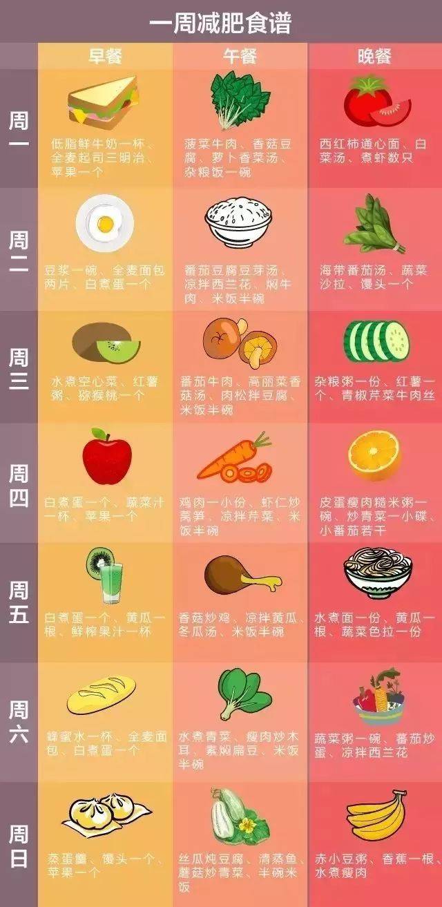 详细的减肥计划,塑造更健康的生活,详细减肥计划,塑造健康人生