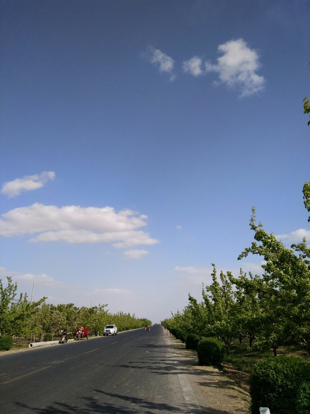 北镇天气预报15天——深度解析与旅行建议,北镇未来15天天气预报详解及旅行建议