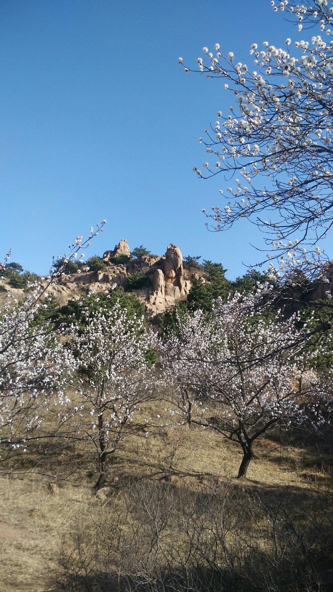 北镇天气预报15天——深度解析与旅行建议,北镇未来15天天气预报详解及旅行建议