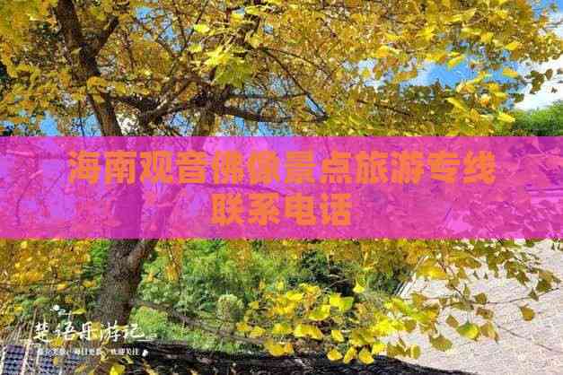 旅游团电话咨询,一站式解决您的旅行疑问,一站式解决旅行疑问的旅游团电话咨询服务