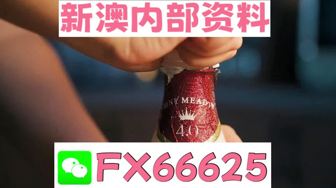 新澳一码一码精准预测,揭秘彩票背后的秘密与策略,揭秘彩票预测真相,新澳一码精准策略与背后秘密探索