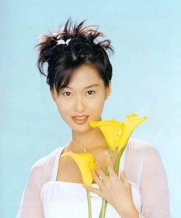 香港演员女明星大全表名字及其影响力概览，香港女演员名字大全及其影响力概览