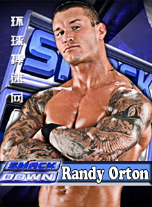 澳彩资料免费的资料大全WWE，探索与解析，澳彩资料免费大全，WWE的探索与解析