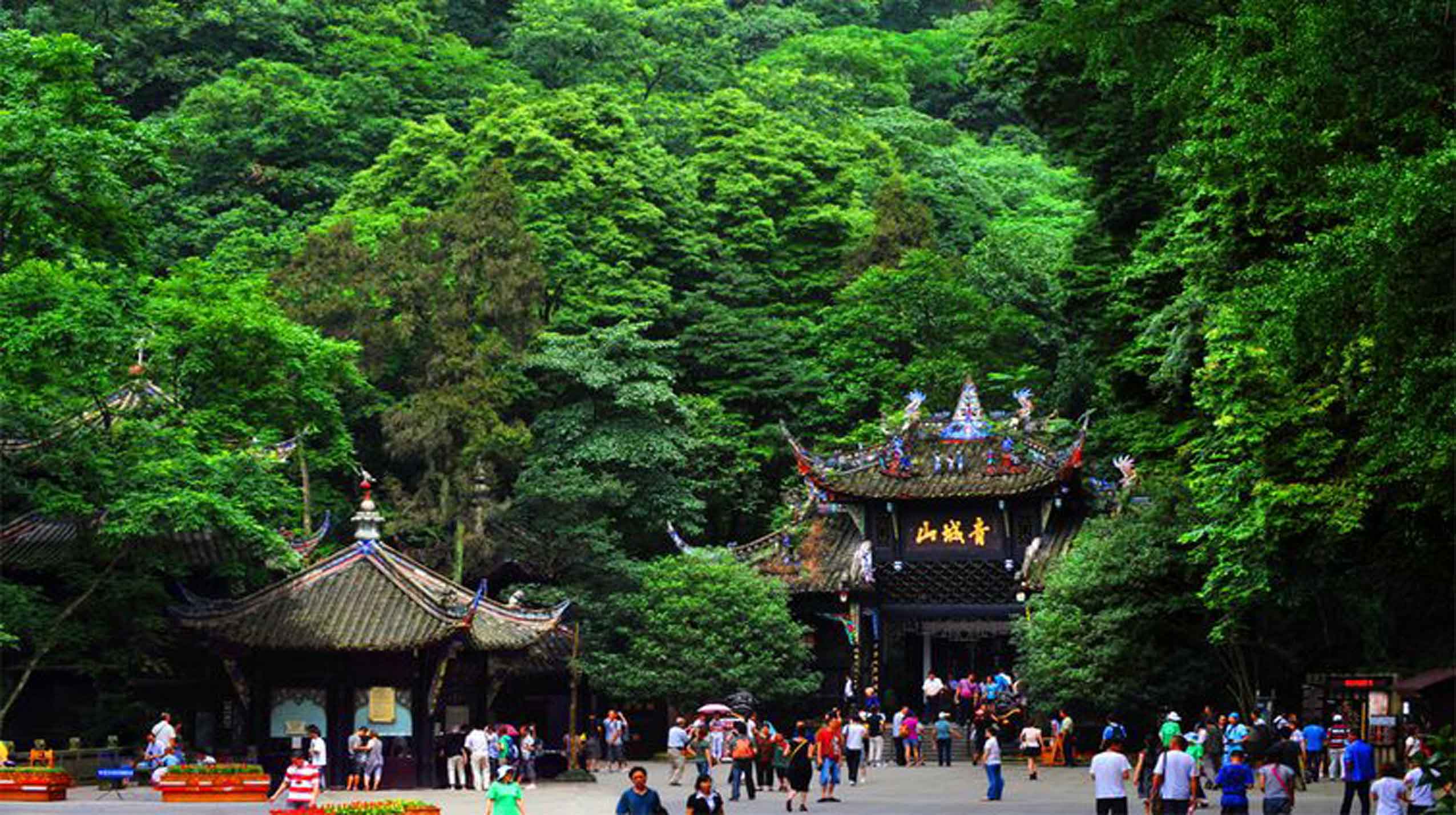 成都旅游跟团，深度探索天府之国的魅力，成都深度游跟团，探寻天府之国的魅力之旅