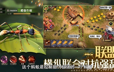 BT蚂蚁,探索未知世界的微小力量,BT蚂蚁,微小力量探索未知世界