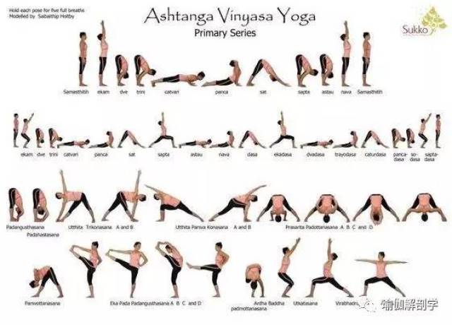 瑜伽的种类和适合人群，瑜伽的种类及其适合人群简介