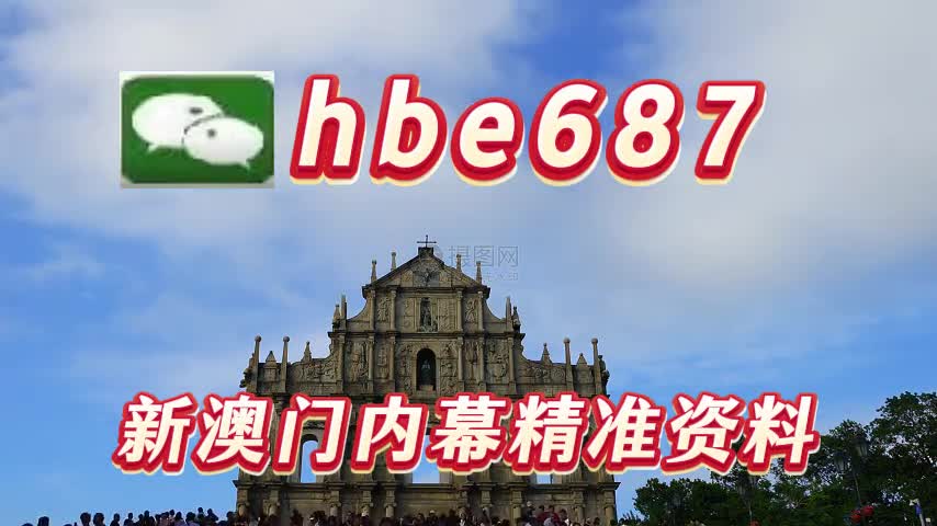 澳门精准三肖三码中特,探索与解析,澳门精准三肖三码中特解析揭秘