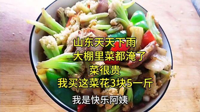探索家常美食的魅力，500道家常菜视频，家常美食探索，500道经典家常菜视频分享