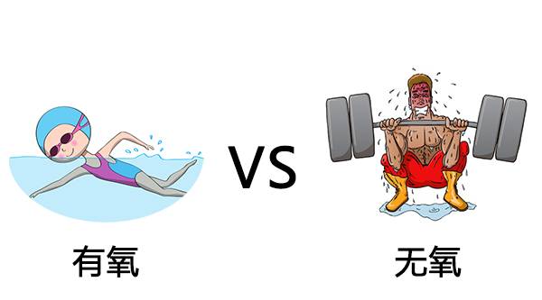 最好的无氧运动是什么？探寻最佳无氧运动的选择，无氧运动之王，探寻最佳无氧运动选择之道