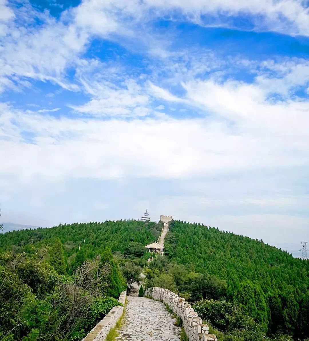 原山国家森林公园，自然与文化的交织之美，原山国家森林公园，自然与文化交织的绝美之境