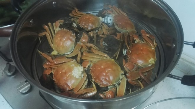 清蒸螃蟹的做法，美味与健康并重，清蒸螃蟹，美味与健康完美融合的做法