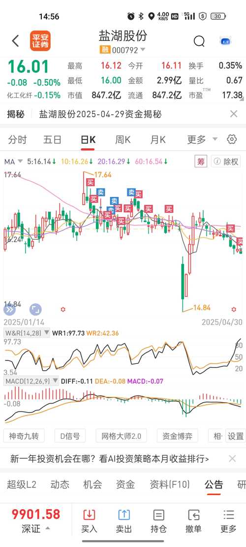 盐湖股票行情深度解析,盐湖股票行情全面解析与深度探讨