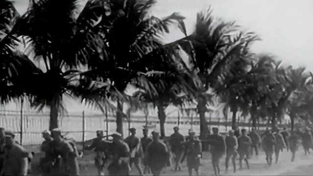 海南岛战役的时间印记，历史中的关键一年，海南岛战役的时间印记，历史中的关键年份回顾