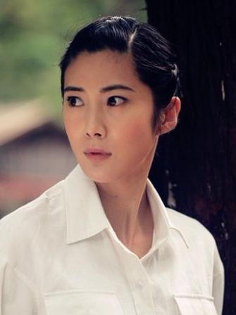 王珂抗日电视剧大全,历史与艺术的完美结合,王珂抗日电视剧大全,历史与艺术交融的杰出之作