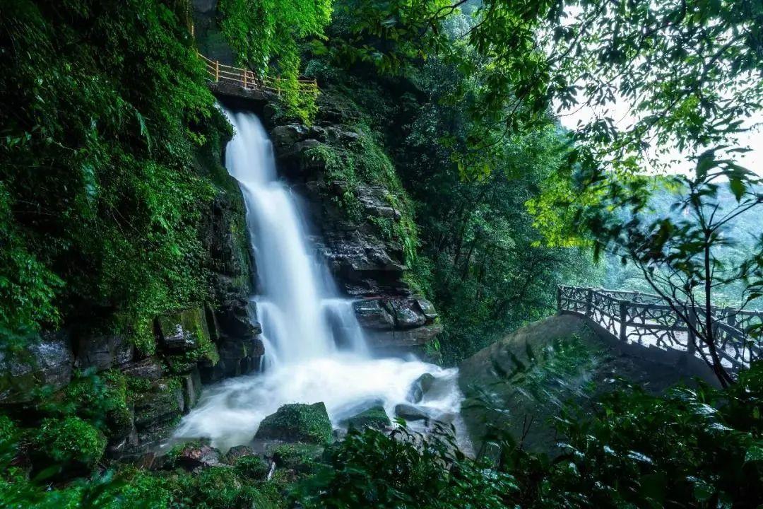 雅安碧峰峡旅游攻略,雅安碧峰峡游玩攻略大全